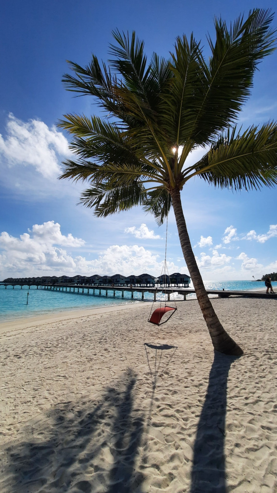 Palm-lined shore at Medhufushi