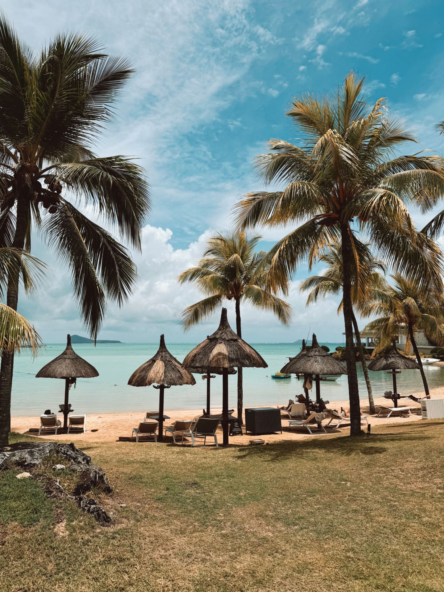 Palm-lined beach in Mauritius