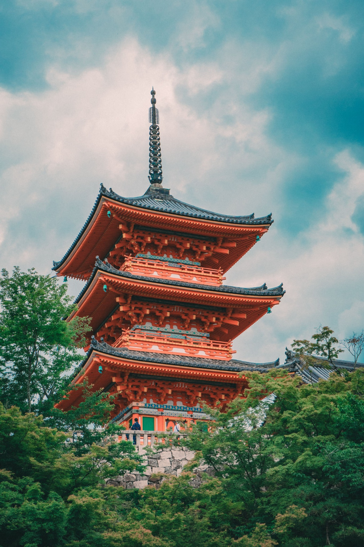 Japanese pagoda framed by blossoms