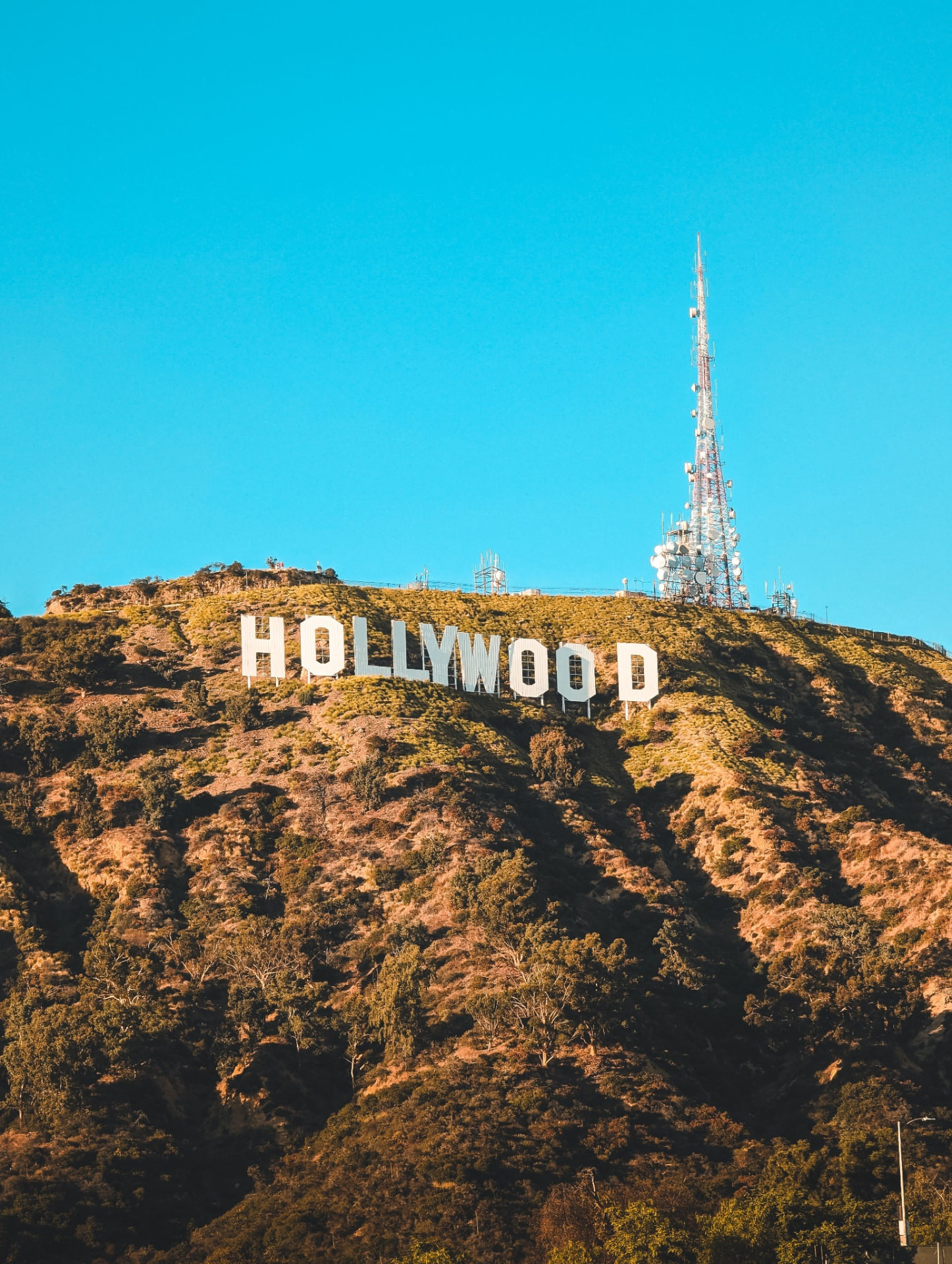 Hollywood sign above Los Angeles